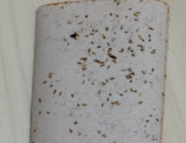 私が湿度にこだわる理由はカビやダニ チャタテムシ対策 一条工務店i Smartを建てたコスケの新築計画