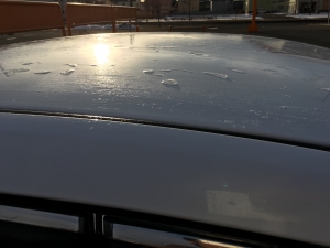 洗車後の水滴が凍る