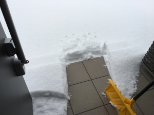 玄関の雪