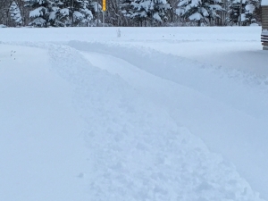 雪が積もった道路