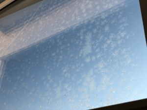 窓に発生した霜の結晶